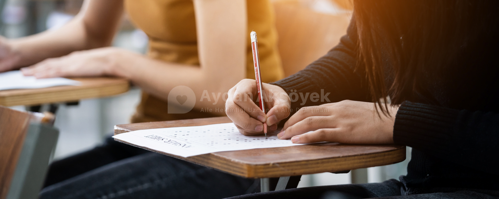 Eğitim ve Sınav Danışmanlığı